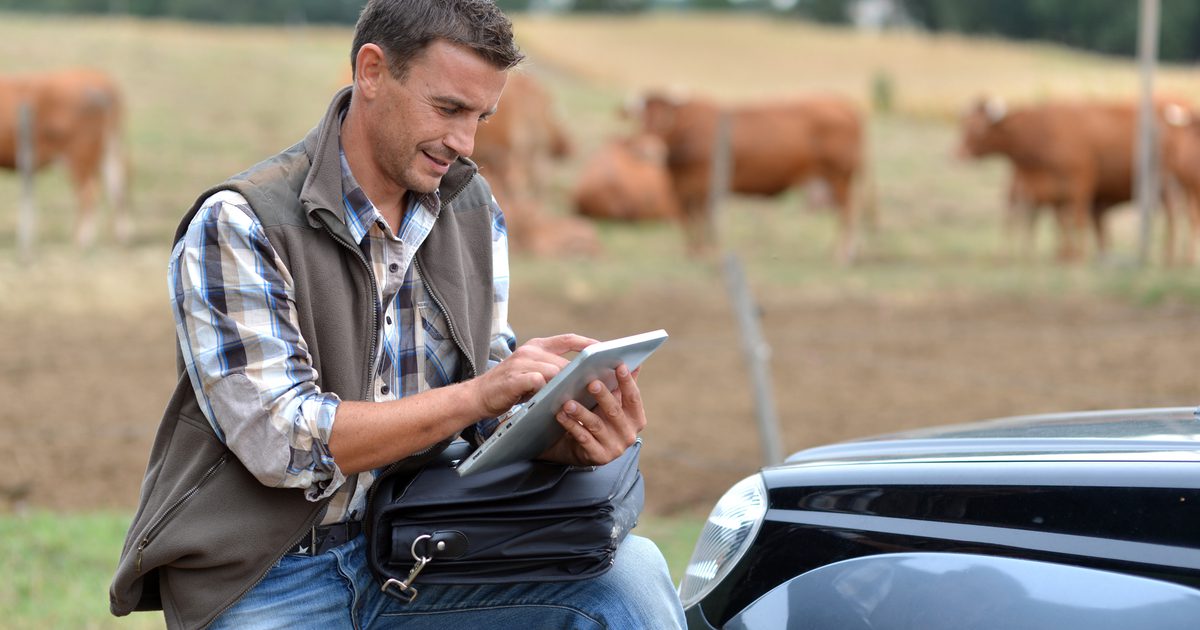 CCIA testing new RFID scanner to simplify cattle movement reporting