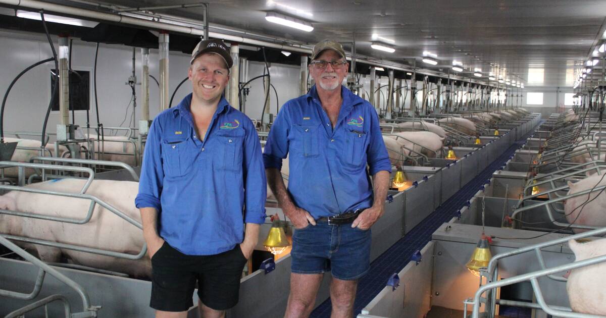 Watch: inside a fully automated livestock operation reducing labour costs, improving animal welfare